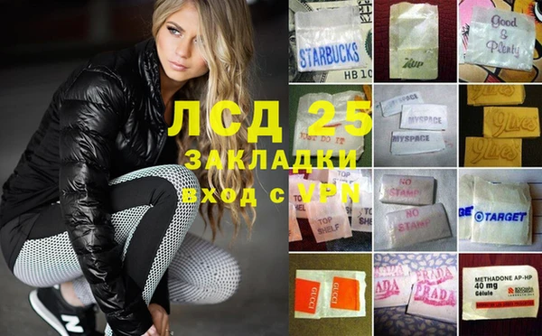 ГАЛЛЮЦИНОГЕННЫЕ ГРИБЫ Алексин