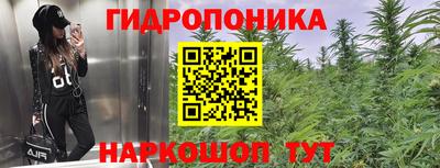 прущие грибы Ачхой-Мартан