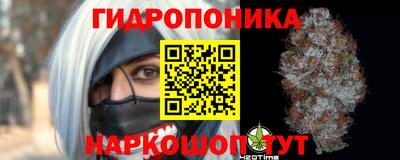прущие грибы Ачхой-Мартан